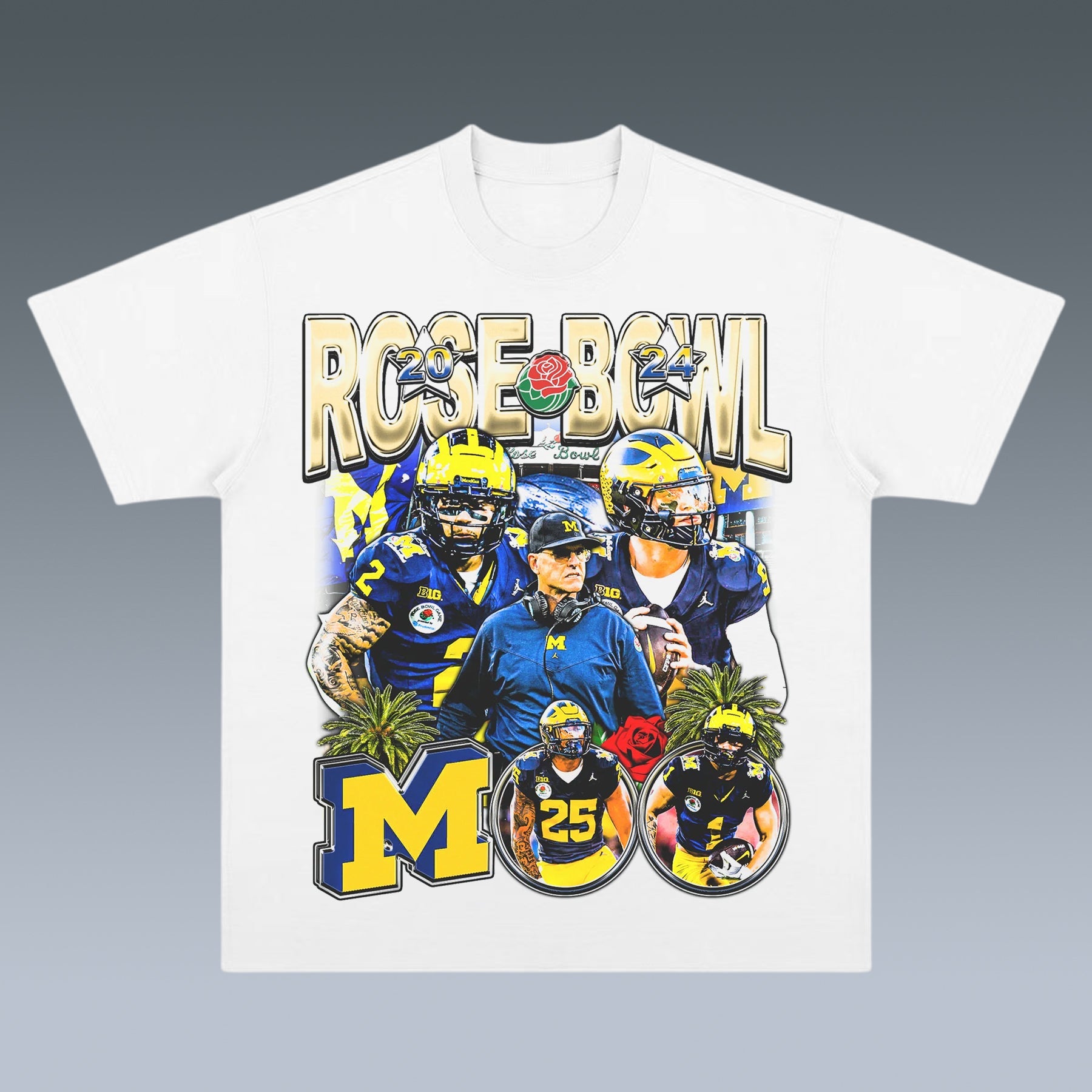 VINTAGE TEE | MICHIGAN WOLVERINES